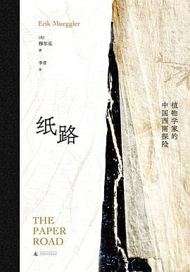 纸路